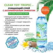 Очищающий спрей для игрушек CLEAR TOY Tropic - 100 мл. - Биоритм - купить с доставкой в Волгограде