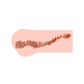 Мастурбатор-вагина Monica без вибрации - KOKOS - в Волгограде купить с доставкой