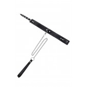 Кожаный двухслойный ошейник с белой строчкой и поводком - Pecado - купить с доставкой в Волгограде