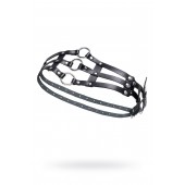 Черный кожаный пояс с кольцами - Pecado - купить с доставкой в Волгограде