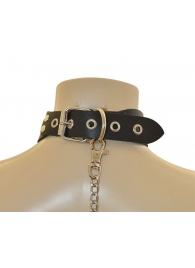 Ошейник  Веселый Роджер - Sitabella - купить с доставкой в Волгограде