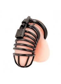 Черная металлическая клетка с замком Deluxe Chastity Cage - BlueLine - купить с доставкой в Волгограде