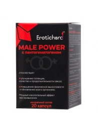 Капсулы для мужчин Erotichard male power с пантогематогеном - 20 капсул (0,370 гр.) - Erotic Hard - купить с доставкой в Волгограде