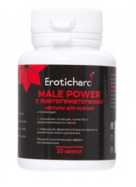 Капсулы для мужчин Erotichard male power с пантогематогеном - 20 капсул (0,370 гр.) - Erotic Hard - купить с доставкой в Волгограде