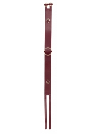 Бордовый ремень Halo Waist Belt - размер L-XL - Shots Media BV - купить с доставкой в Волгограде