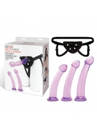 Тренировочный набор с тремя насадками Pegging Training Set - Lux Fetish - купить с доставкой в Волгограде