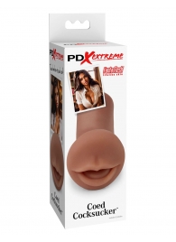 Мастурбатор-ротик Coed Cocksucker - Pipedream - в Волгограде купить с доставкой