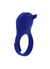 Синее эрекционное виброкольцо с клиторальной подушечкой и пультом ДУ Adjustable Fun Ring - Zero Tolerance - в Волгограде купить с доставкой