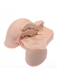 Мастурбатор-полуторс Naked Factory Kate - Naked Factory - в Волгограде купить с доставкой