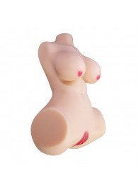 Мастурбатор-торс Aveline с 2 любовными тоннелями - Baile - в Волгограде купить с доставкой