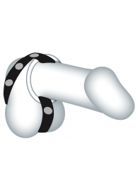 Подхват для мошонки с 3 съемными эрекционными кольцами Leder-Riemen - Orion - в Волгограде купить с доставкой