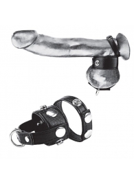 Утяжка для мошонки и пениса Cock Ring With 1  Ball Stretcher And Optional Weight Ring - BlueLine - купить с доставкой в Волгограде