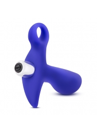 Синий стимулятор простаты с ручкой-кольцом Performance Prostimulator 02 - Blush Novelties - в Волгограде купить с доставкой