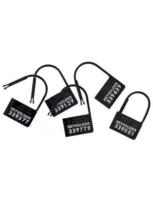 Набор для мужского пояса верности Cock Cage Set - Orion - купить с доставкой в Волгограде