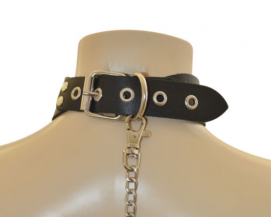 Ошейник  Веселый Роджер - Sitabella - купить с доставкой в Волгограде