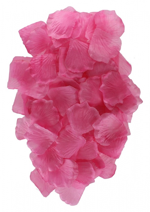 Эротический набор FANTASTIC PURPLE SEX TOY KIT - Toy Joy - купить с доставкой в Волгограде