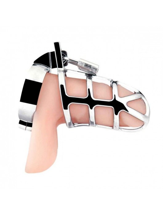 Серебристая металлическая клетка для члена с замком Enslave Cock Cage - BlueLine - купить с доставкой в Волгограде