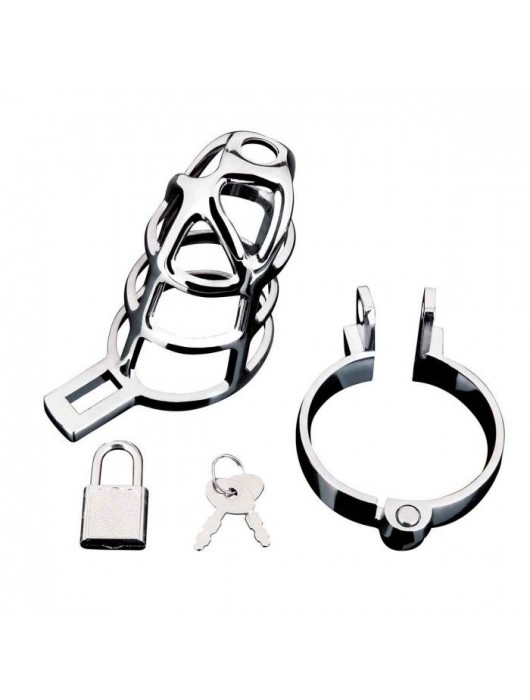 Серебристая металлическая клетка для члена с замком Enslave Cock Cage - BlueLine - купить с доставкой в Волгограде