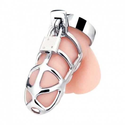 Серебристая металлическая клетка для члена с замком Enslave Cock Cage - BlueLine - купить с доставкой в Волгограде