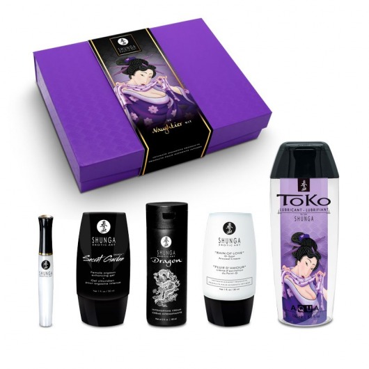 Подарочный набор Naughter Kit - Shunga - купить с доставкой в Волгограде