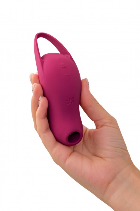 Малиновый вакуум-волновой стимулятор клитора с вибрацией Pocket Pro 1 - Satisfyer