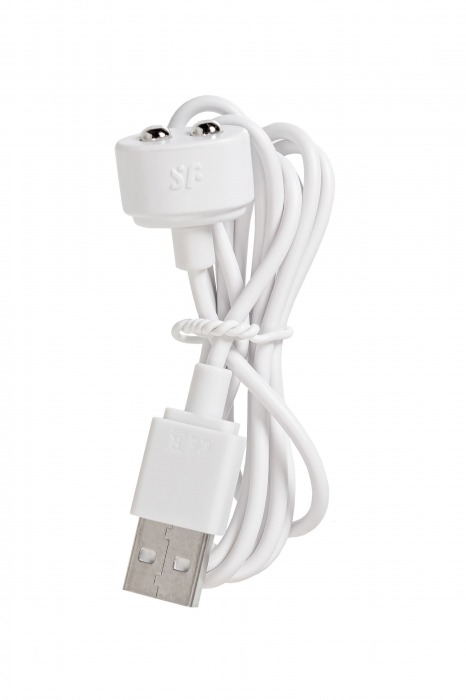 Малиновый вакуум-волновой стимулятор клитора с вибрацией Pocket Pro 1 - Satisfyer