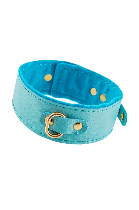 Голубой двуслойный кожаный ошейник с подкладкой из фетра - Pecado - купить с доставкой в Волгограде