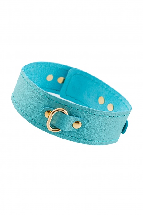 Голубой кожаный однослойный ошейник с прошивкой - Pecado - купить с доставкой в Волгограде