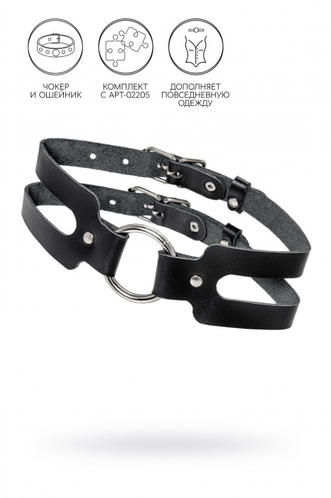 Черный кожаный чокер-ошейник из двух ремешков - Pecado - купить с доставкой в Волгограде