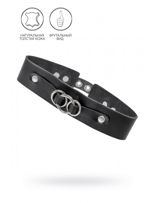Черный чокер-ошейник со связанными кольцами на подложке - Pecado - купить с доставкой в Волгограде