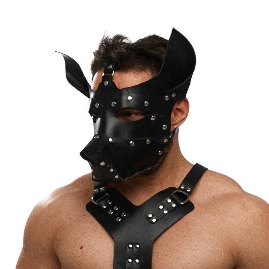 Черная кожаная маска «Собака» - Crazy Handmade - купить с доставкой в Волгограде