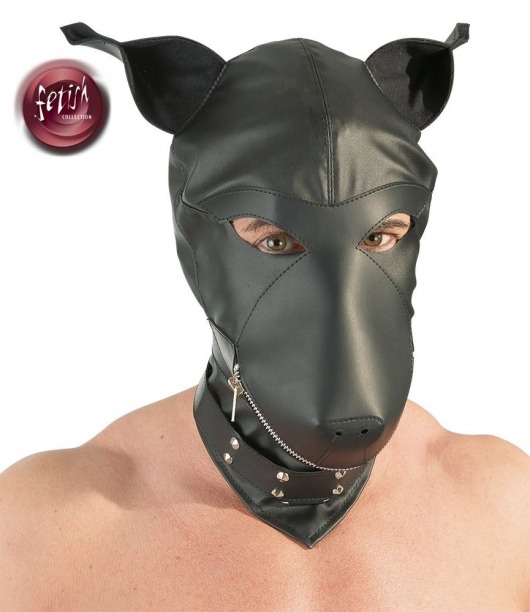 Шлем-маска Dog Mask в виде морды собаки - Orion - купить с доставкой в Волгограде