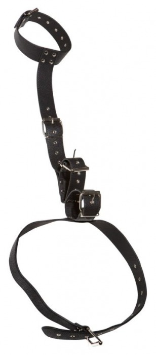 Фиксация на шею и запястья Bad Kitty Neck and Hand Restraints - Orion - купить с доставкой в Волгограде