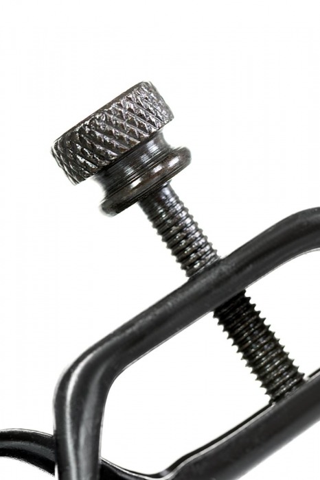 Черно-золотистые зажимы для сосков TOYFA Theatre - ToyFa - купить с доставкой в Волгограде