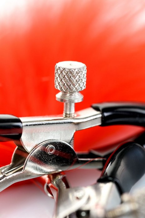 Зажимы для сосков с красным пухом Theatre - ToyFa - купить с доставкой в Волгограде